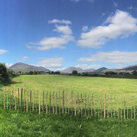 Willowtree Glamping Mournes Villa Annalong Bagian luar foto