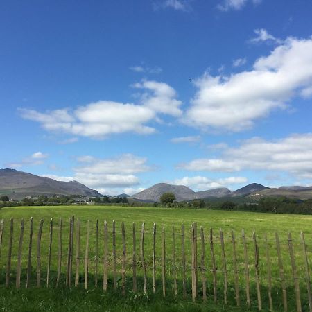 Willowtree Glamping Mournes Villa Annalong Bagian luar foto