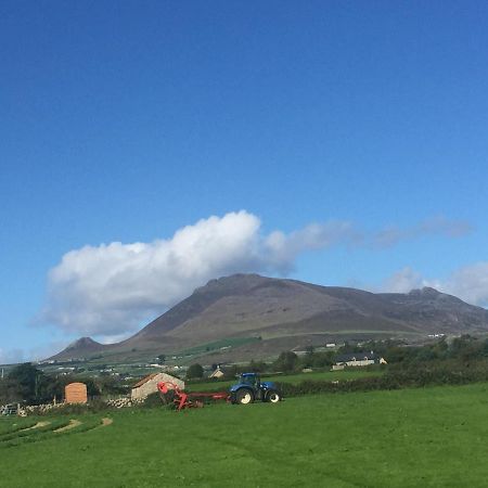 Willowtree Glamping Mournes Villa Annalong Bagian luar foto