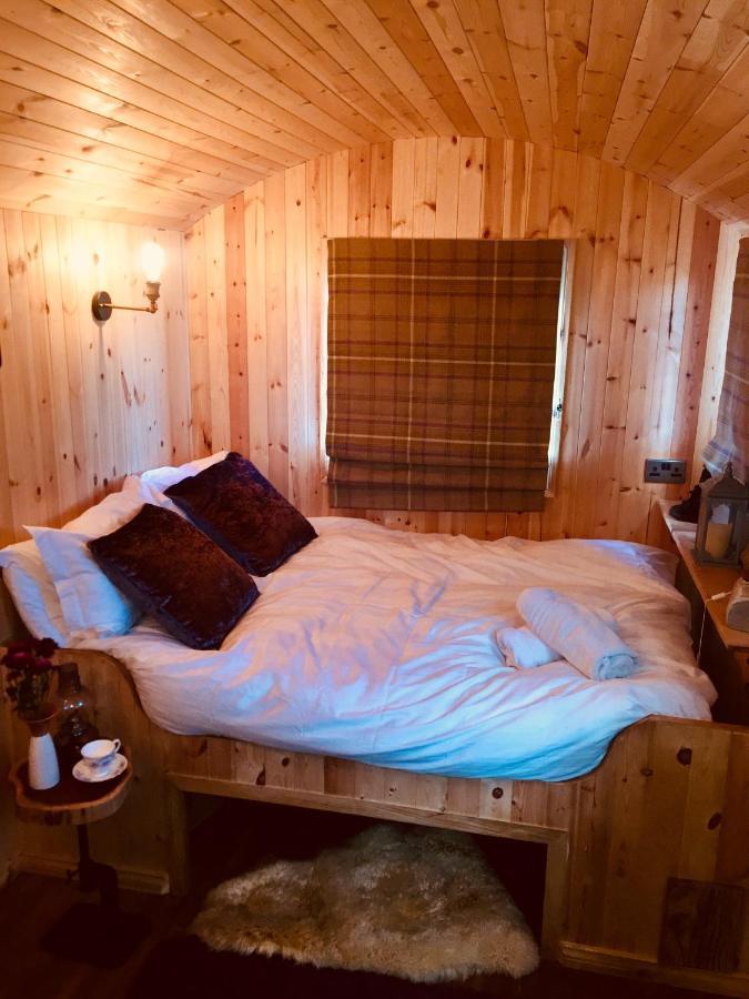 Willowtree Glamping Mournes Villa Annalong Bagian luar foto