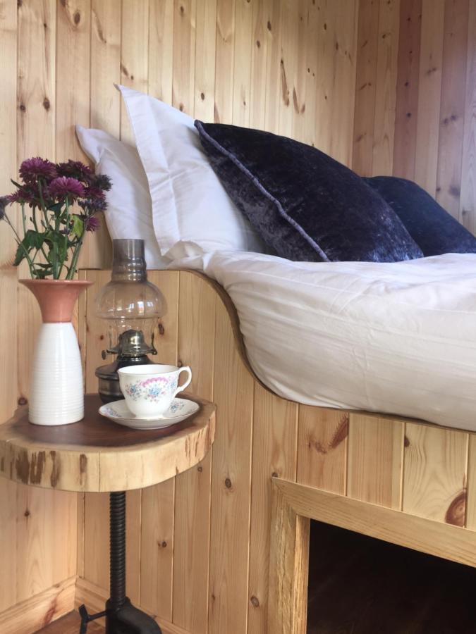 Willowtree Glamping Mournes Villa Annalong Bagian luar foto