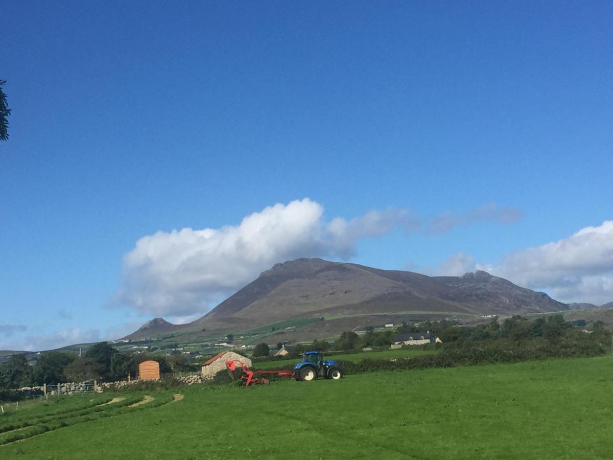 Willowtree Glamping Mournes Villa Annalong Bagian luar foto