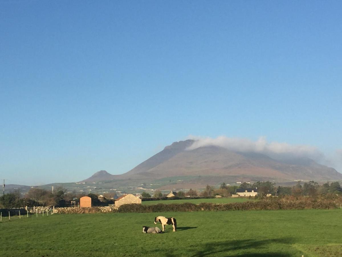 Willowtree Glamping Mournes Villa Annalong Bagian luar foto