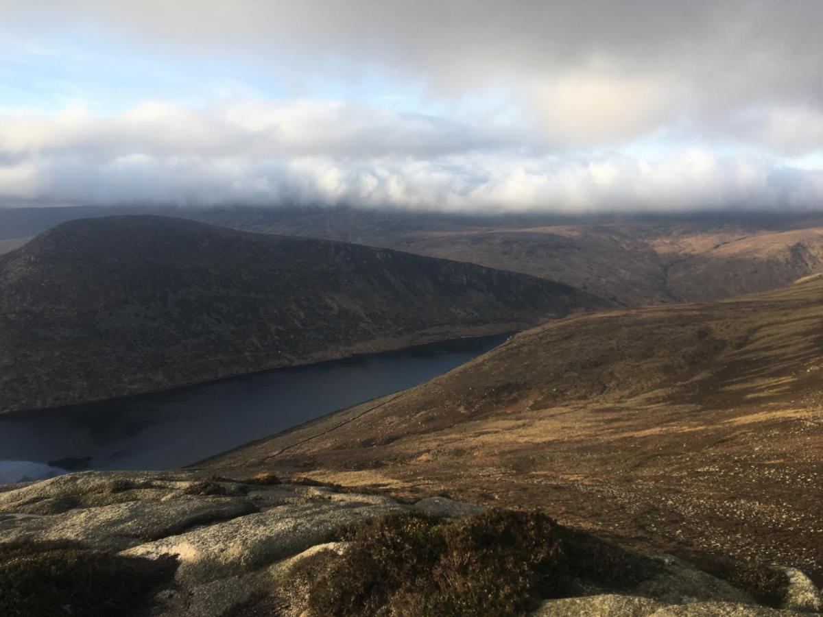 Willowtree Glamping Mournes Villa Annalong Bagian luar foto