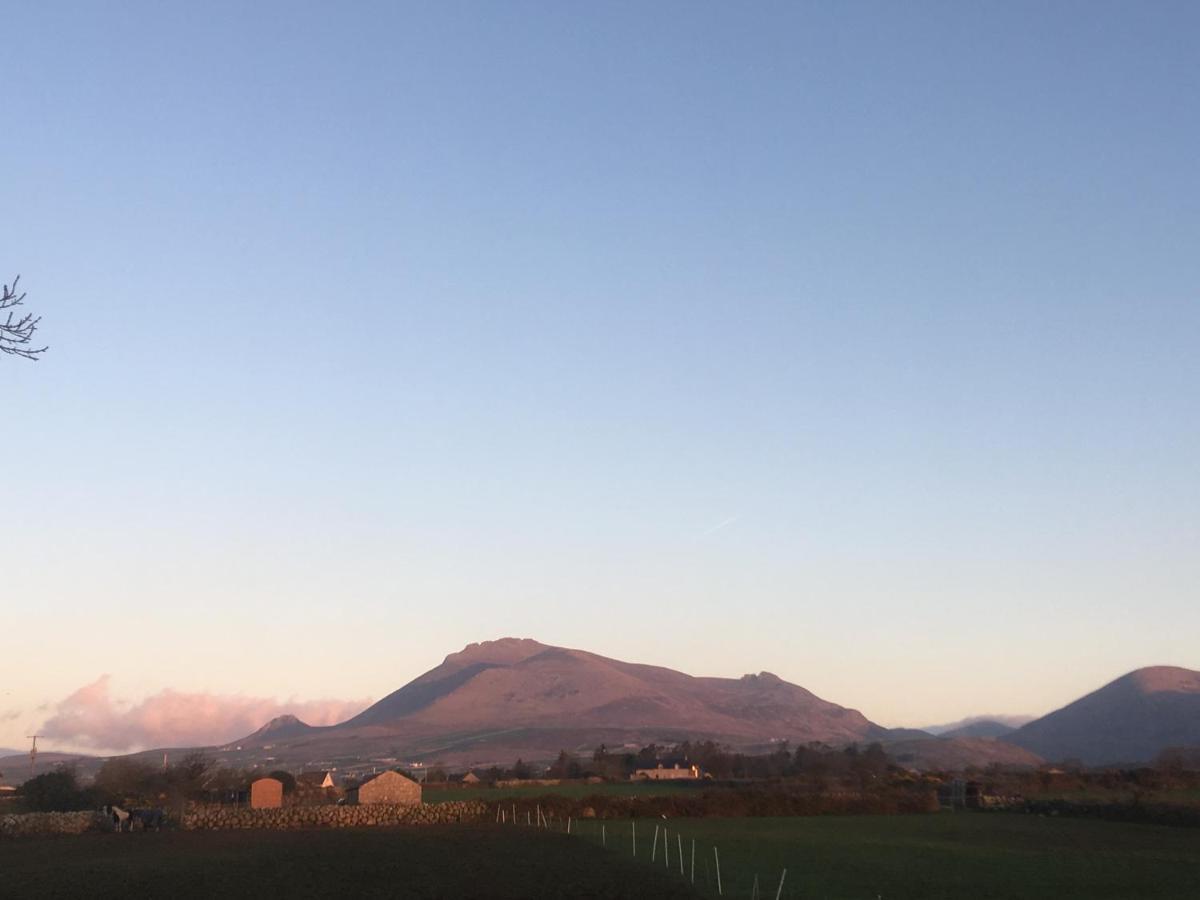 Willowtree Glamping Mournes Villa Annalong Bagian luar foto